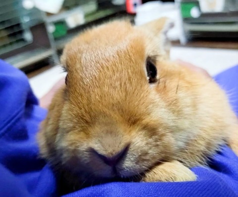 2025-03-11-16-18-09-218