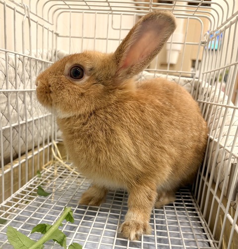 2025-11-03-20-30-36-679