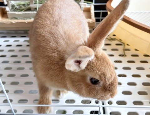 2025-05-08-00-42-26-899