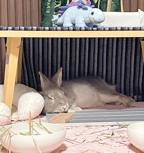 2024-07-27-17-48-31-758