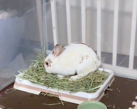 2025-05-08-00-47-36-614