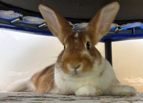 2025-12-06-01-26-49-547