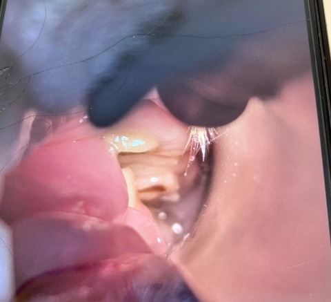 2025-02-03-01-08-39-294