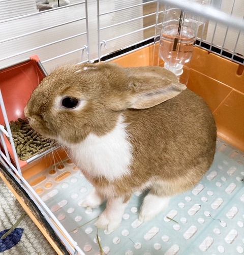 2025-04-17-14-46-22-460