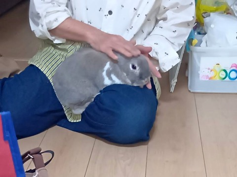 2025-12-06-01-22-42-308