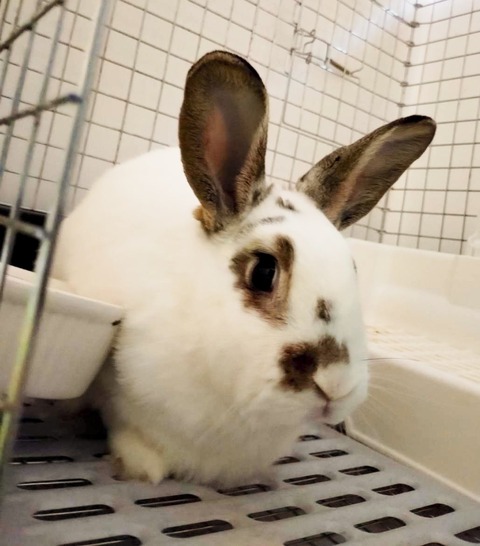 2024-08-02-16-56-45-394