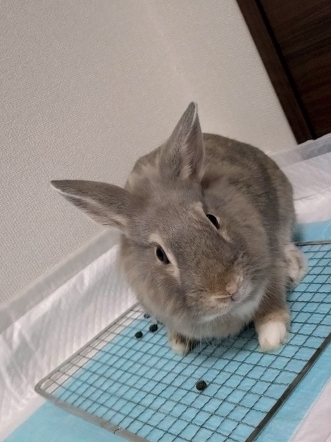 2024-07-27-17-27-27-304