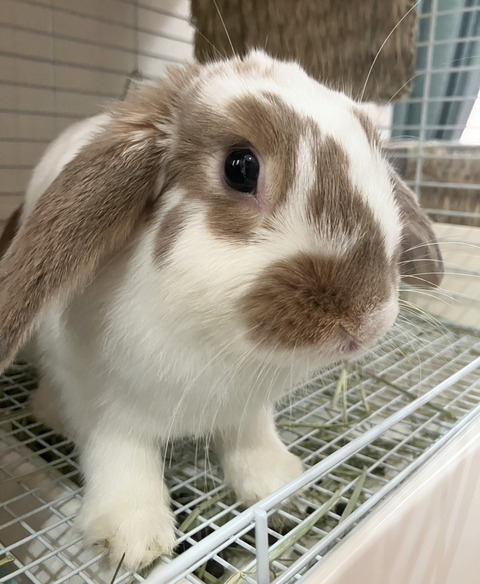 2025-12-06-01-04-22-247