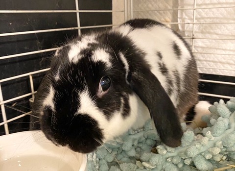 2024-07-27-17-39-48-891