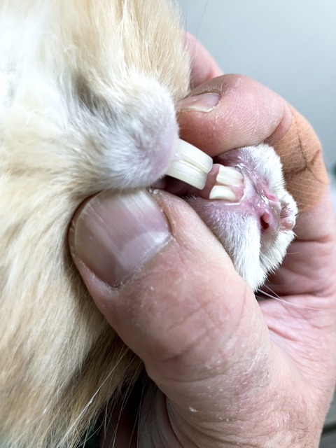 2025-02-03-00-09-07-189