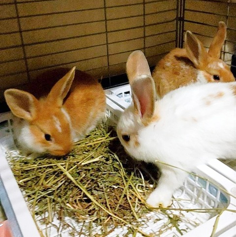 2025-05-08-00-43-53-099