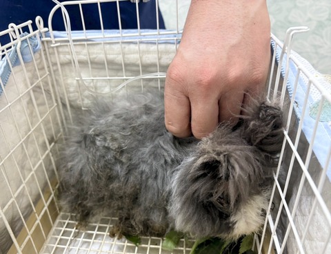 2025-02-03-00-07-12-412