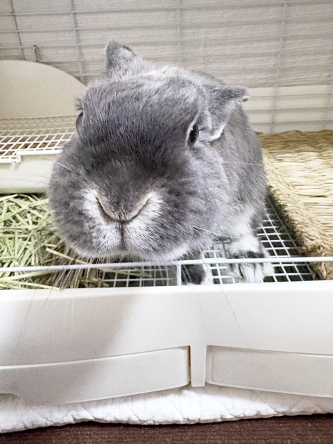 2025-02-03-01-35-48-916