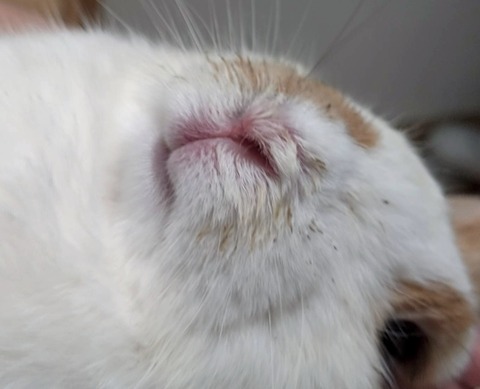 2025-03-11-16-27-40-912