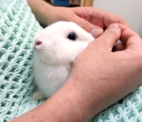 2024-10-02-17-15-18-663