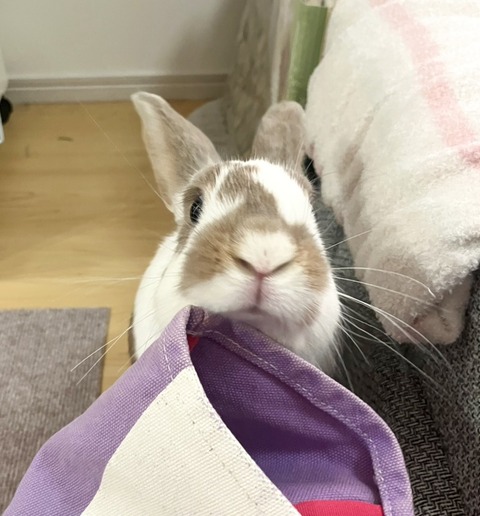 2025-12-06-01-05-06-831