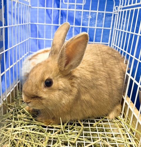 2025-05-08-00-06-59-277