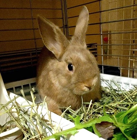 2025-05-08-00-44-22-432