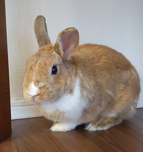 2025-05-08-00-40-54-608