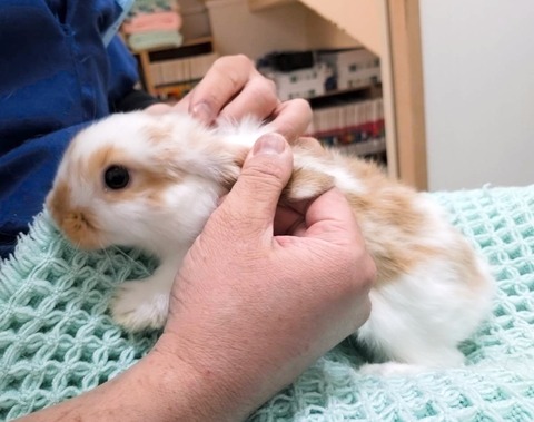 2025-05-08-00-15-22-261