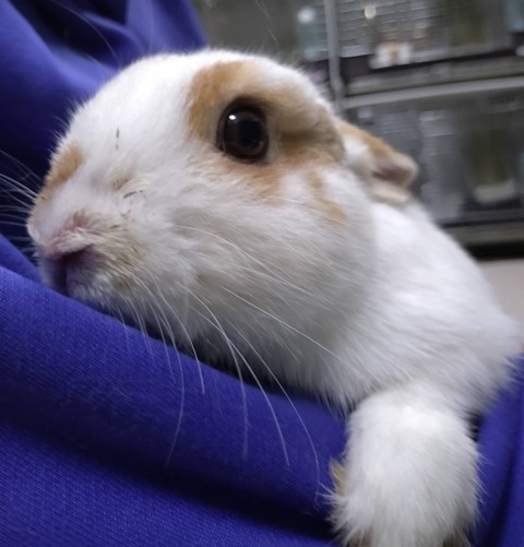 2025-03-11-16-20-53-571