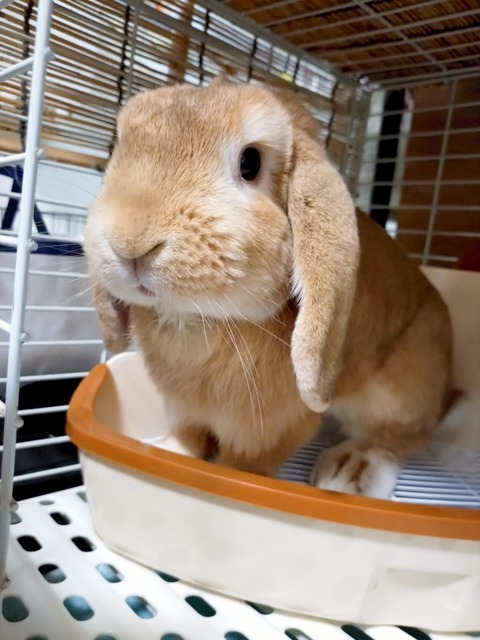 2024-07-27-17-29-57-140