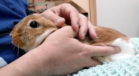 2025-05-08-00-34-23-873