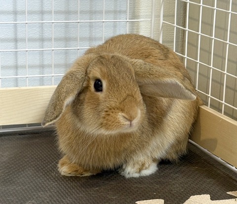 2025-12-06-01-14-00-216