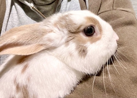 2025-12-06-01-00-02-171