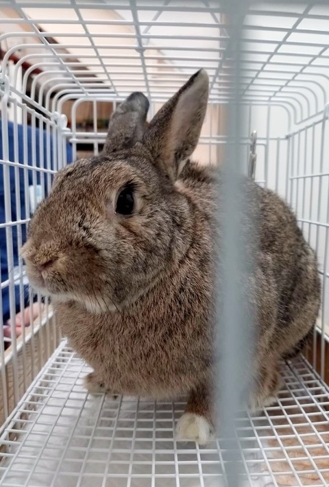 2024-07-27-17-29-28-690