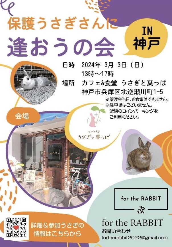 保護うさぎさんに逢おうの会in神戸【3/3】 : for the RABBIT 保護うさぎさんに逢おうの会in神戸【3/3】 : for the RABBIT