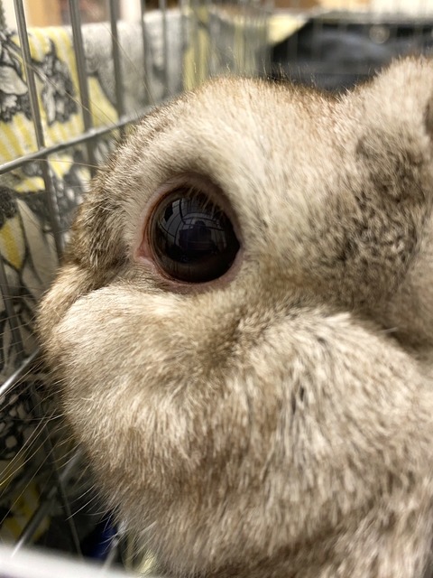 2024-07-27-17-34-25-464