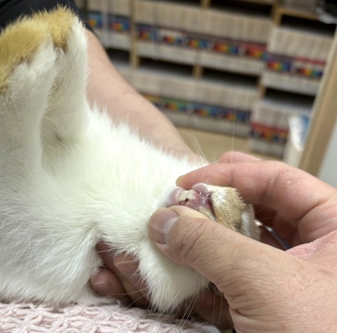 2025-05-08-00-07-46-940