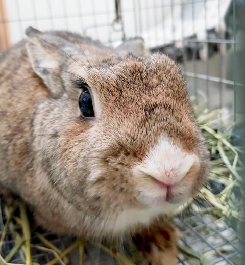 2025-04-16-17-28-41-599