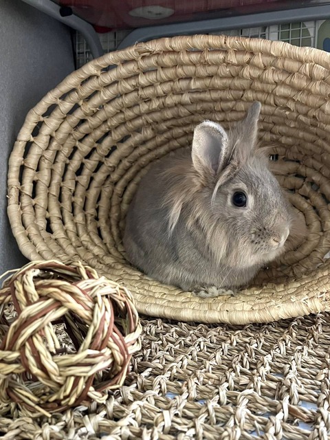 2025-02-03-00-21-49-598