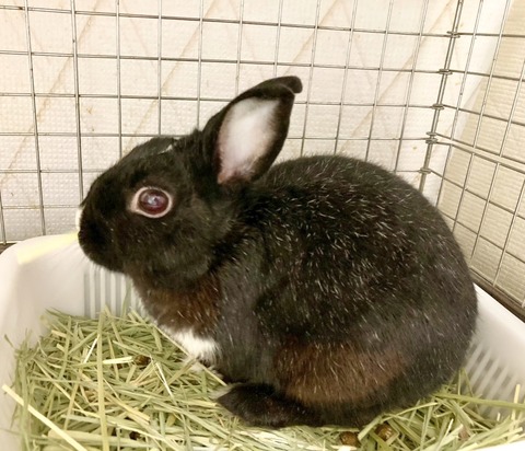 2025-12-06-01-20-55-711