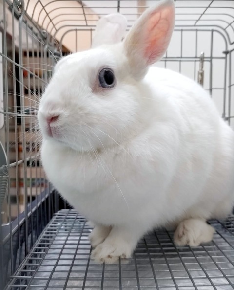 2024-10-02-17-13-33-125