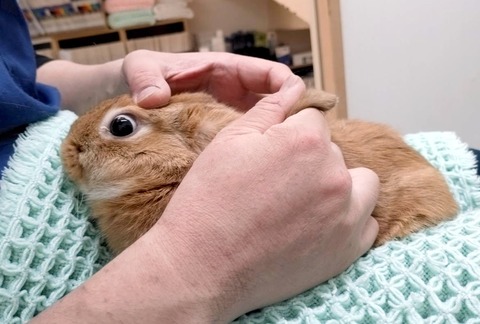 2025-05-07-23-58-17-595