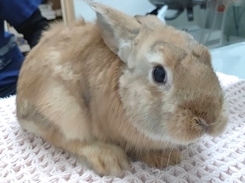 2025-03-11-16-26-01-272