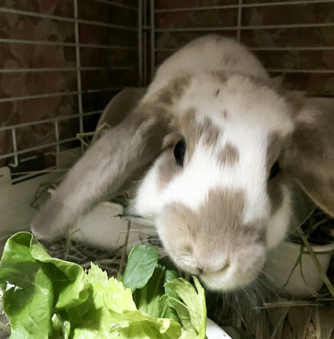 2025-12-06-01-01-07-588