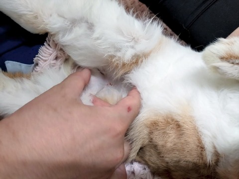 2024-07-27-17-24-59-515