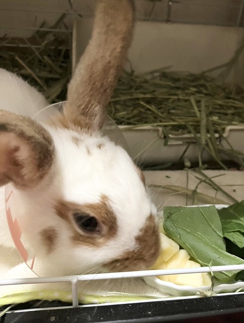 2025-12-06-01-17-45-165