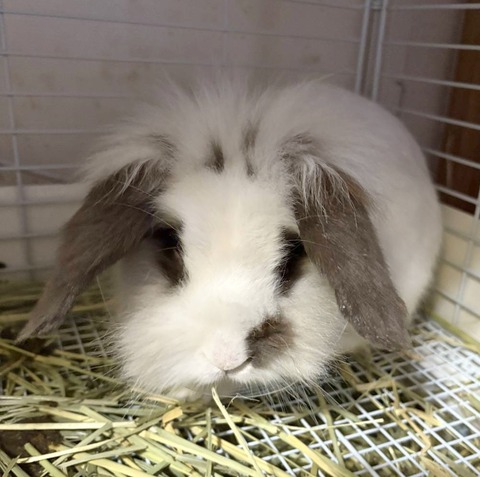 2025-08-31-14-38-59-225