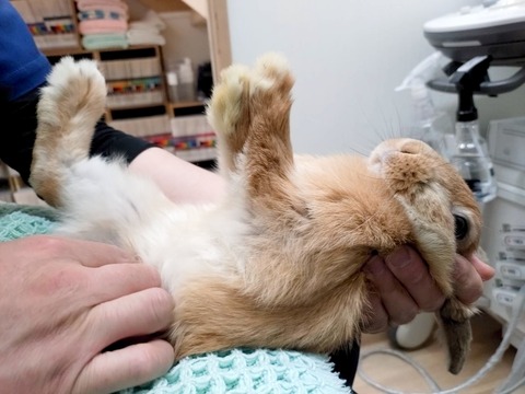 2025-05-07-23-55-01-423