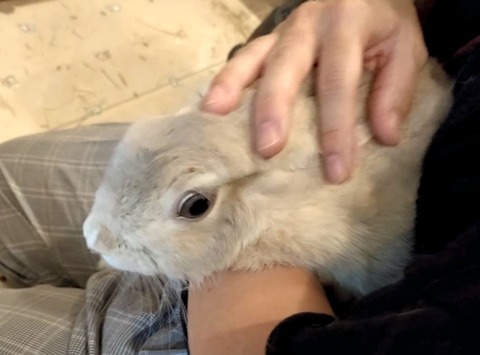 2024-10-02-16-16-25-159