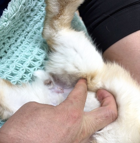 2025-12-06-00-50-43-380