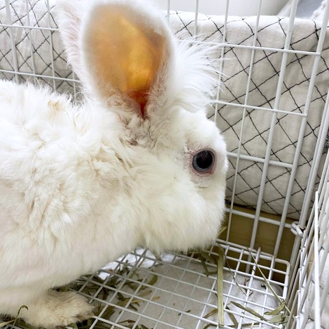 2025-02-03-00-30-28-899