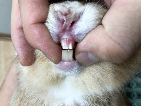 2024-10-02-17-15-53-571