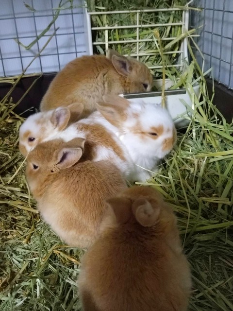 2025-04-04-18-59-51-848