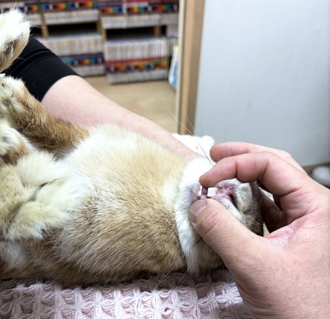 2025-05-08-00-23-49-755